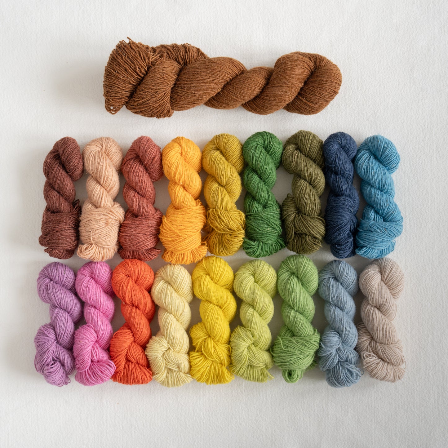 Paul Klee Sweater Kit