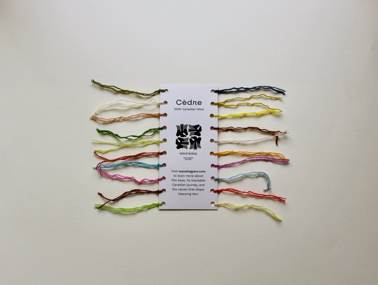 Cèdre Sample Card