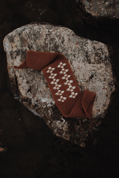 Kit foulard Waxwing