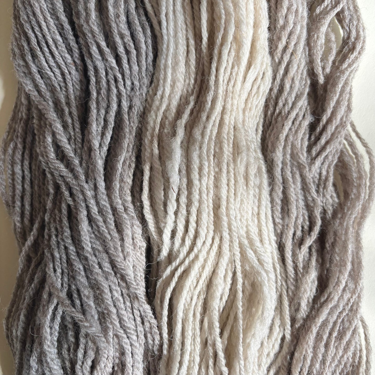 Bouleau DK | 100% Canadian Undyed Wool Yarn