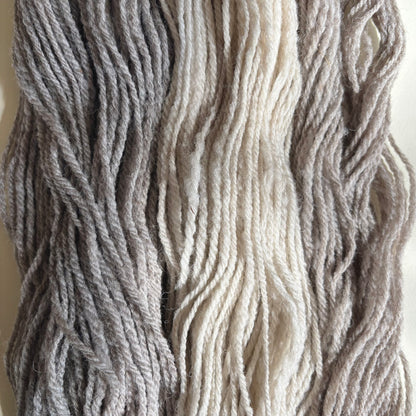 Bouleau DK | 100% Canadian Undyed Wool Yarn
