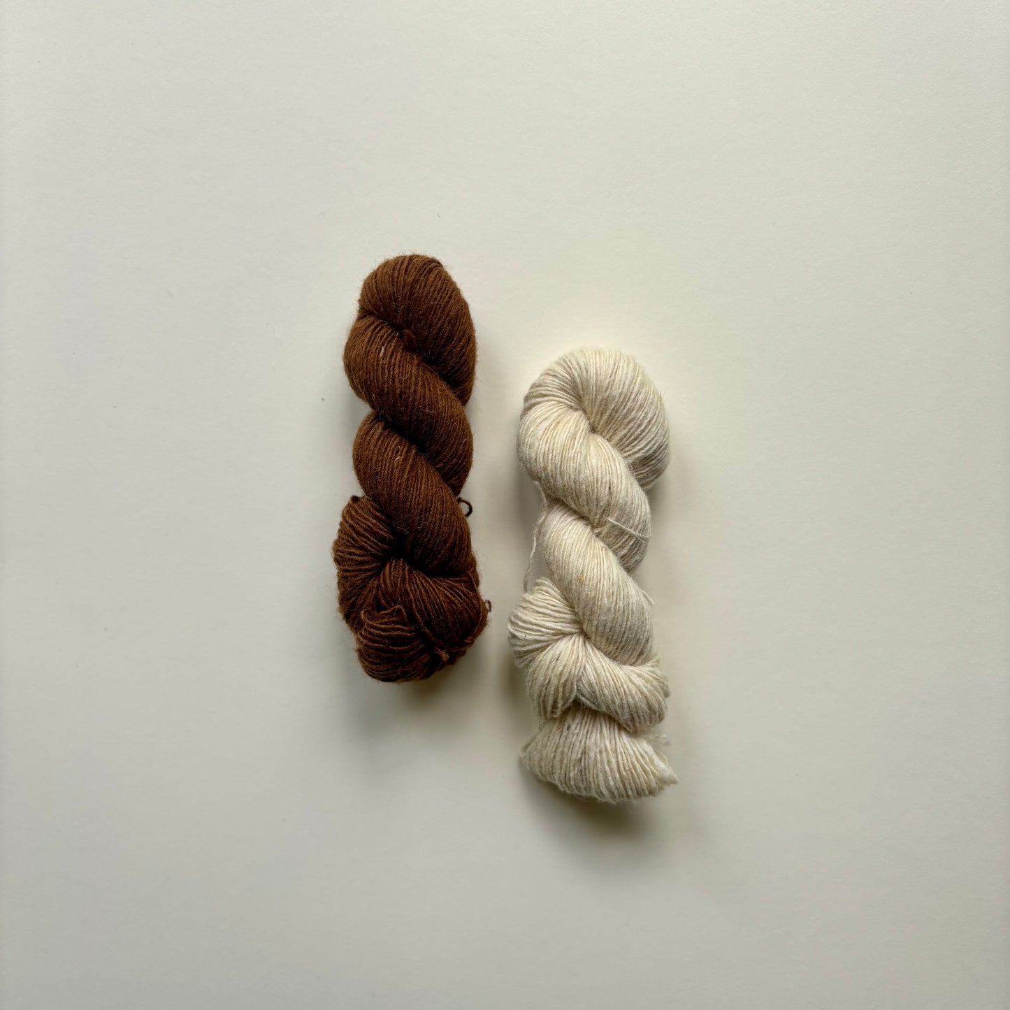 Kit foulard Waxwing