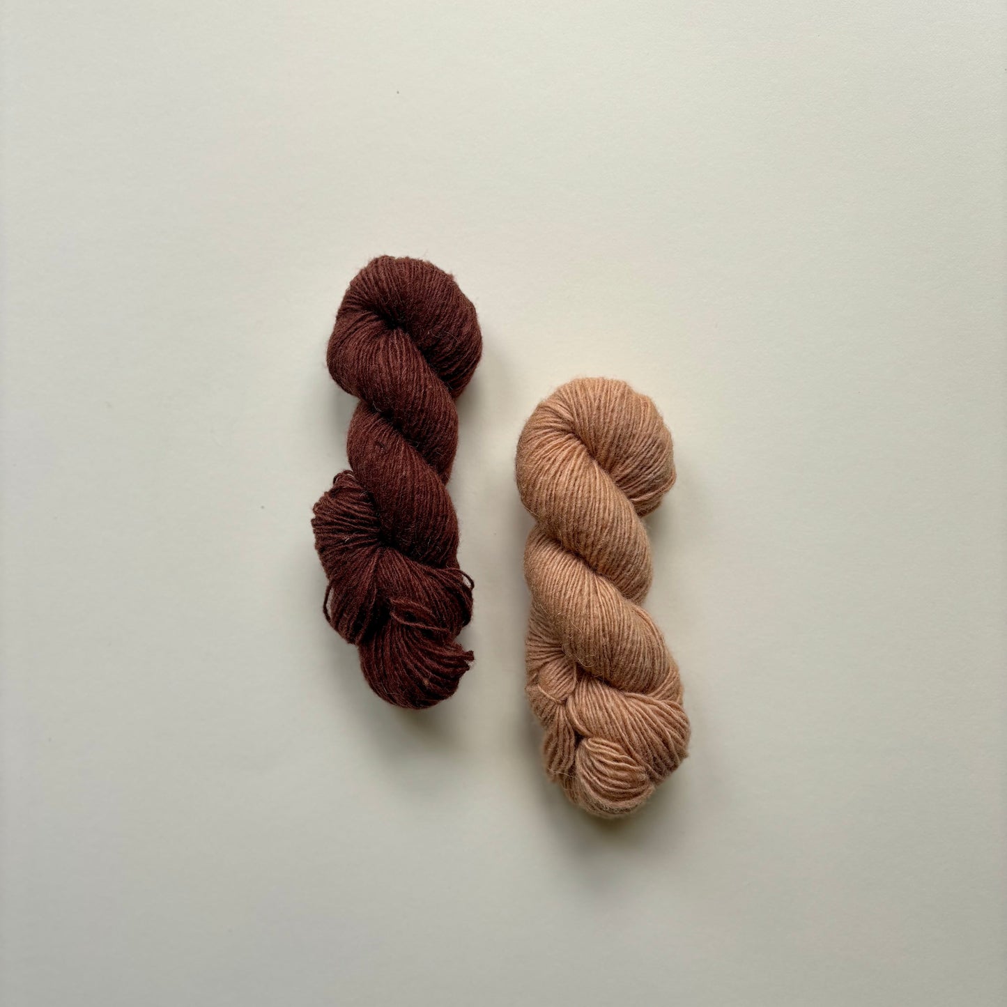 Kit foulard Waxwing