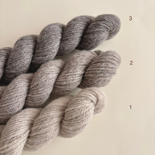 Bouleau DK | 100% Canadian Undyed Wool Yarn